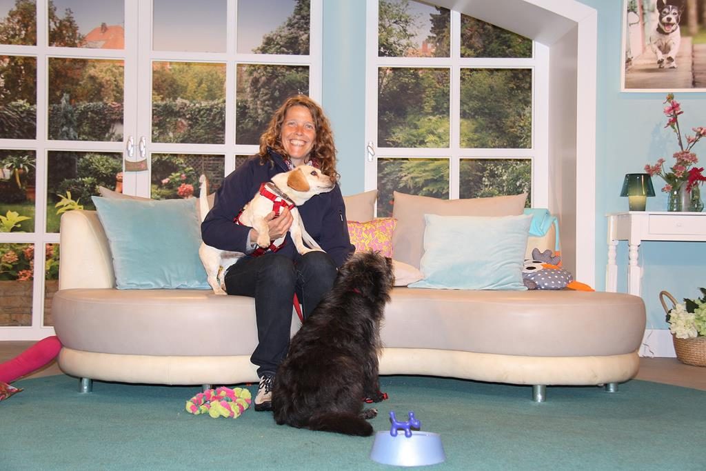Besuch Beim Wdr Tiere Suchen Ein Zuhause Hundevermittlung