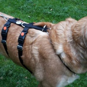 FELLFREUNDE-HUNDEGESCHIRR | GRÖSSE L